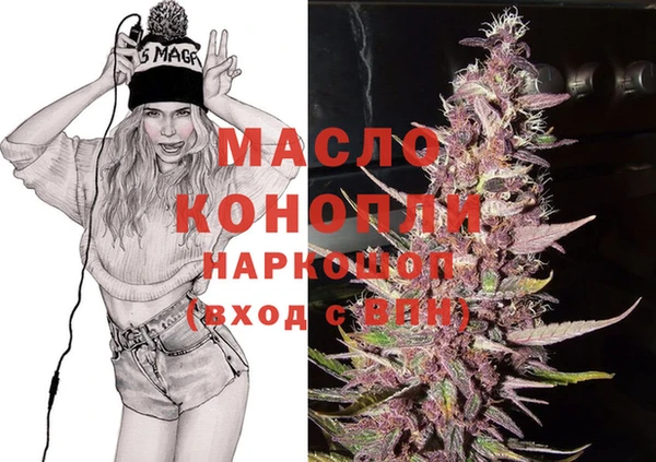 дмт Алексин