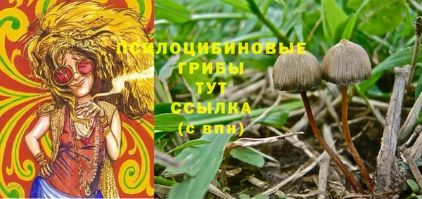 дмт Алексин