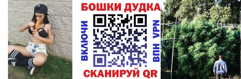 что такое   Каневская  Бошки марихуана Amnesia 